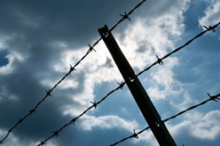 barbed wire